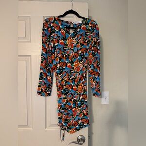 Zara Multi-Color Floral Long Sleeve Dress